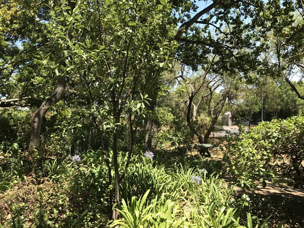 Helderbos Country House Somerset West Ngoại thất bức ảnh