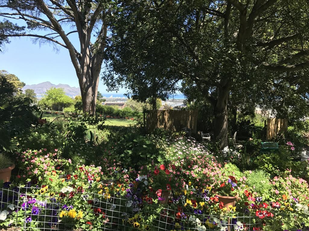 Helderbos Country House Somerset West Ngoại thất bức ảnh